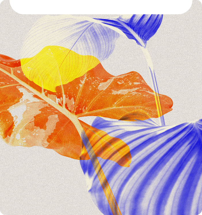 word圖片轉文字工具適用於藝術再創作