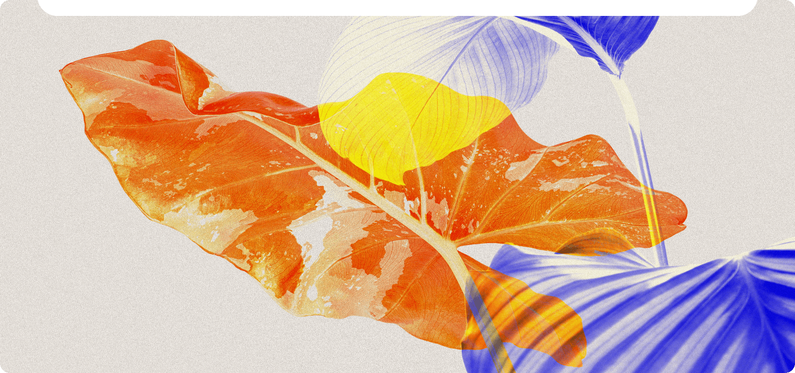 word圖片轉文字工具適用於藝術再創作